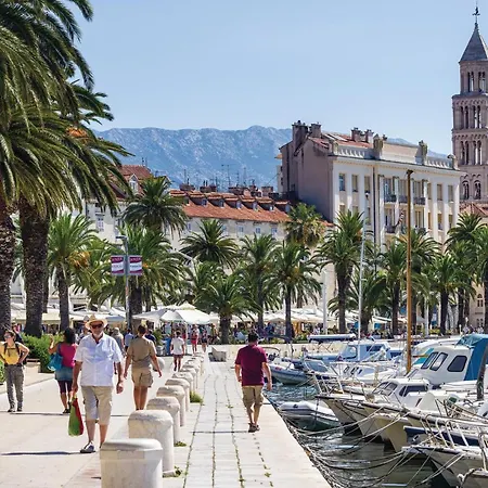 Cozy In * Split